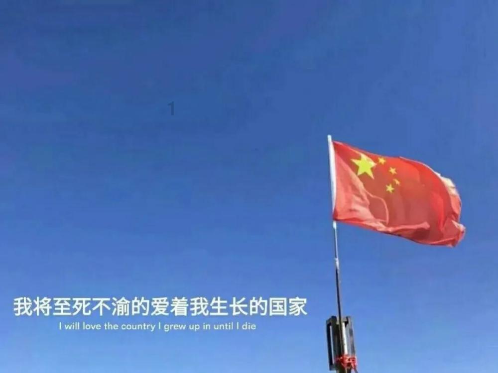 僵尸猎人赏金大赛